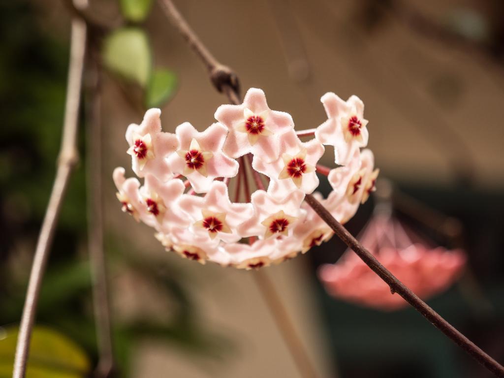 Casa Boutique Hotel